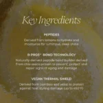 Detangling Glossing Treatment Frizz Fighter Heat Protectant Spu953364215281 4