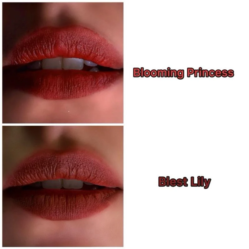 Velvet Matte Lip Gloss Long Lasting Waterproof Smudge Proof 8 velvet matte lip gloss long lasting waterproof spu911398399378 desc 8